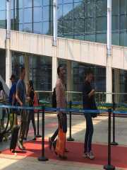 Stake(�й���)�ٷ���վ