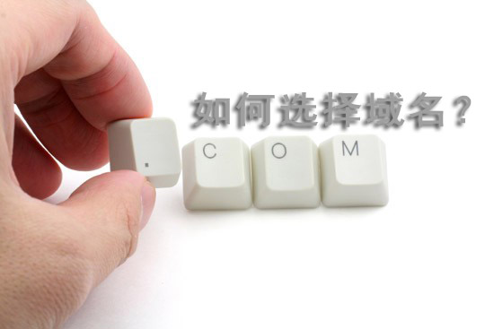 Stake(�й���)�ٷ���վ