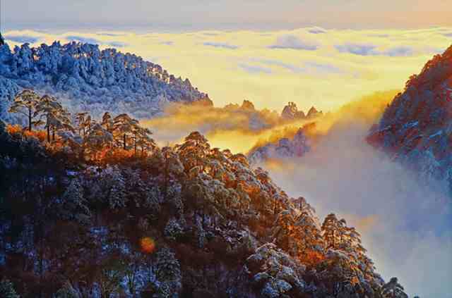 Stake(ÖйúÇø)¹Ù·½ÍøÕ¾