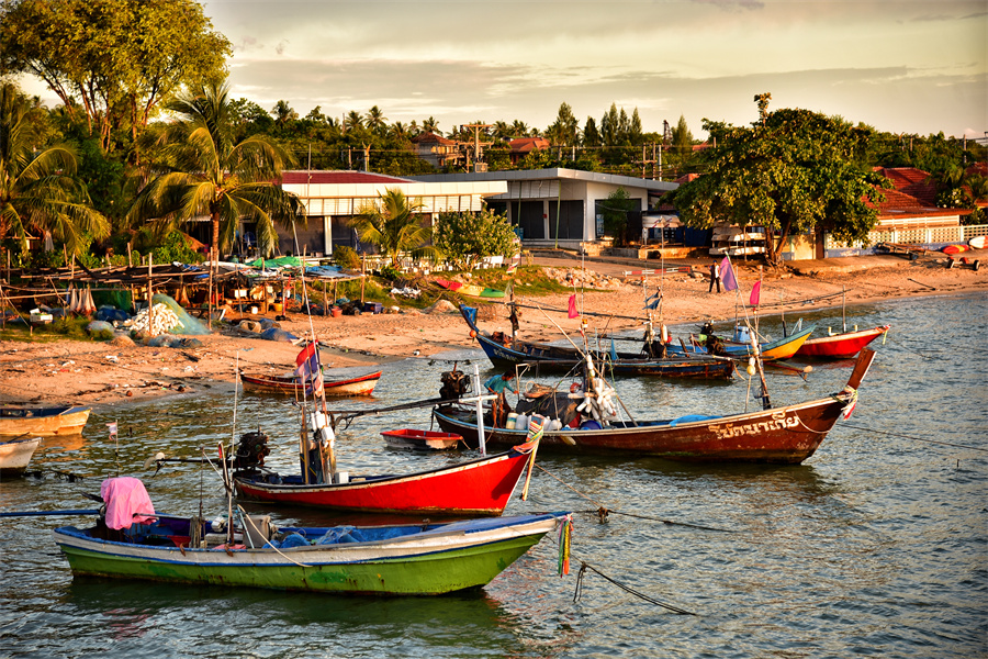 Stake(�й���)�ٷ���վ