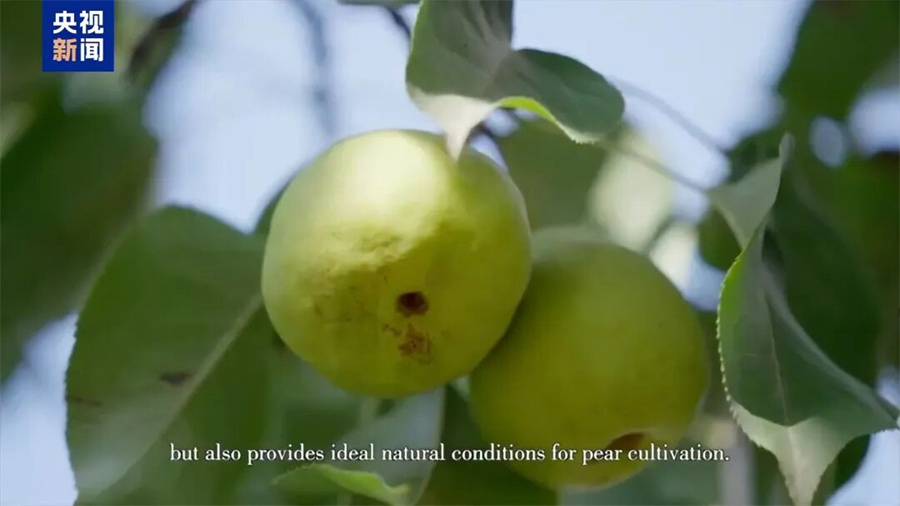 Stake(中国区)官方网站