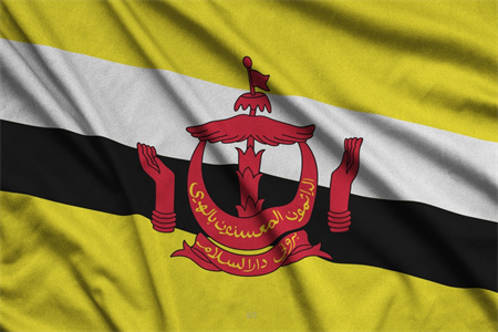 ��һ���������й�����ǩ֤���������������й��Ͷ����ѻ�Ϊ��һ����ҵ��飡